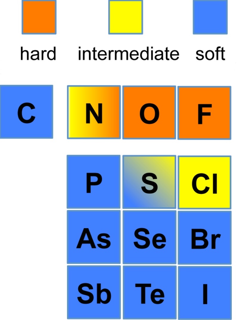 HSAB bases