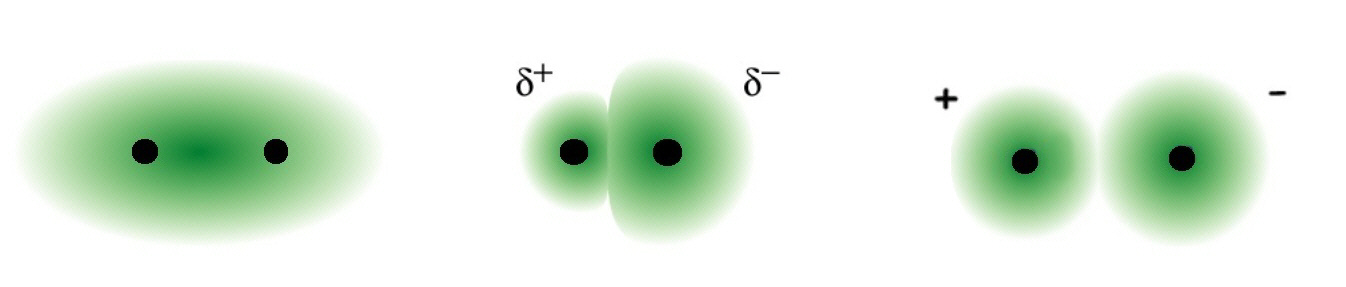 Electronegativity difference and bond character