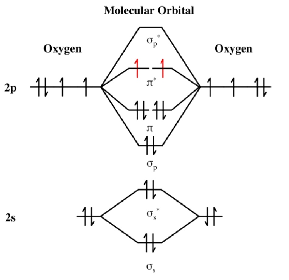 MO diagram for dioxygen