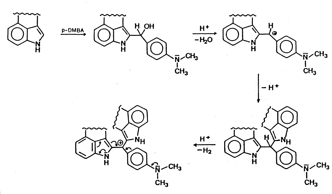 Ehrlich's Test for LSD