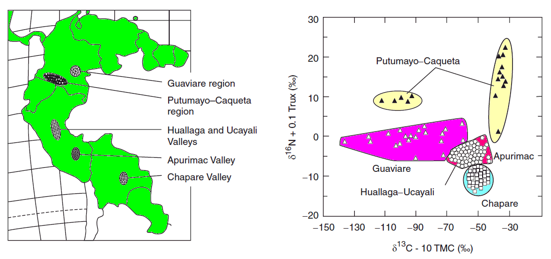 cocaine delta 13C/ 15N variation with location