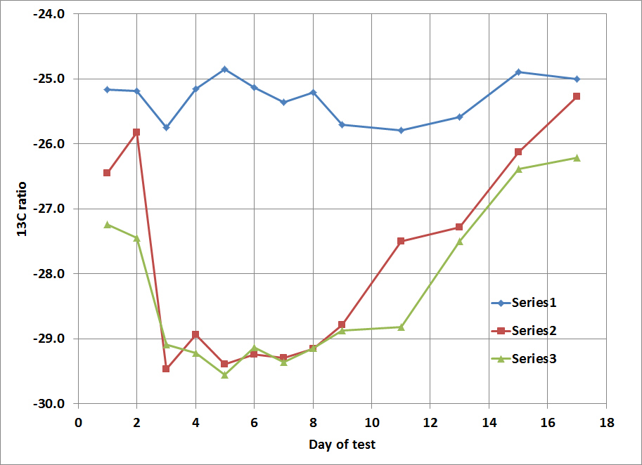 testosterone delta 13C changes