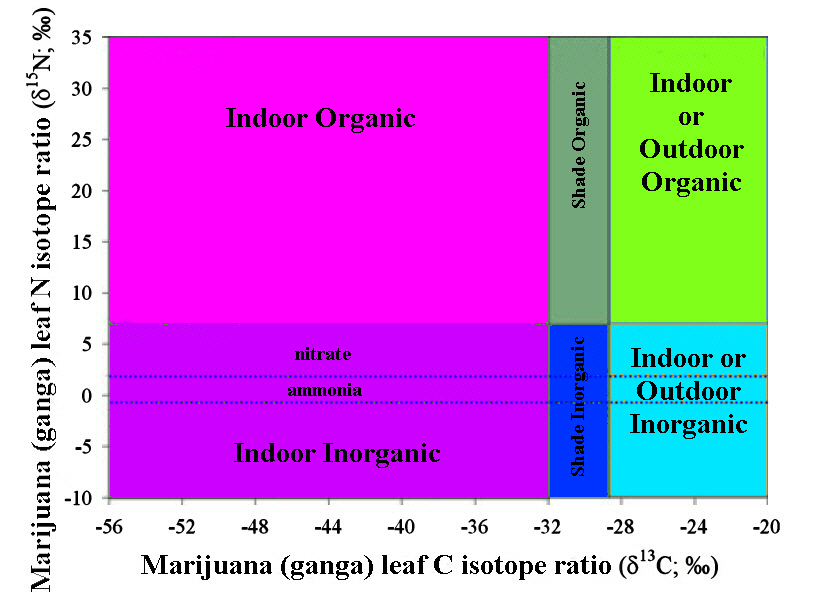 IRMS study of ganga