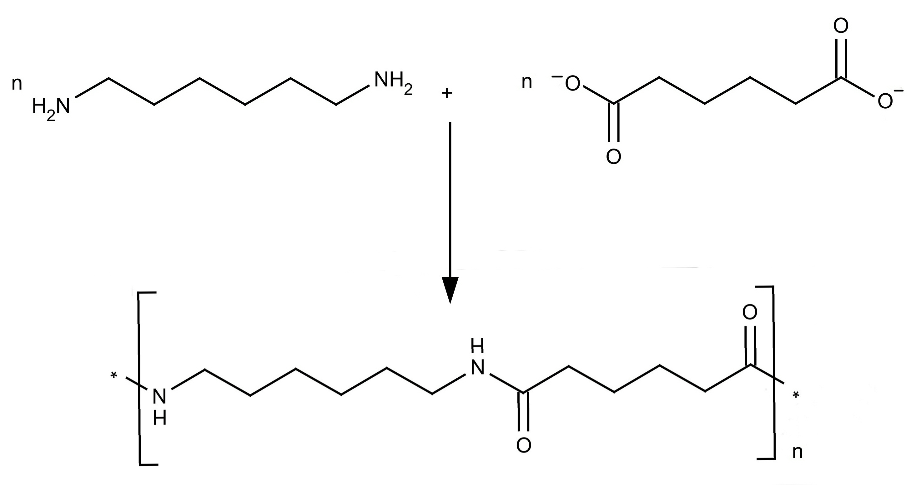 Nylon 6 6